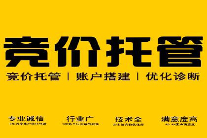 社交平台上的信息流广告投放策略及效果分析